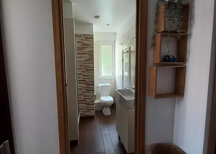 Les Myosotis * Λε Ντεζ Αλπ