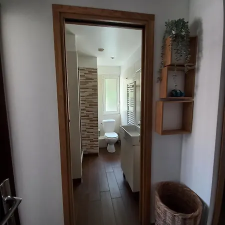 Les Myosotis * Les Deux Alpes