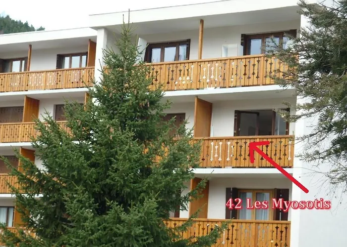 Les Myosotis Apartment Les Deux Alpes