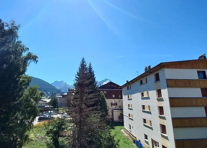 Les Myosotis * Les Deux Alpes